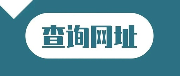 怎样查公司企业域名?5常见且有效的查询方法