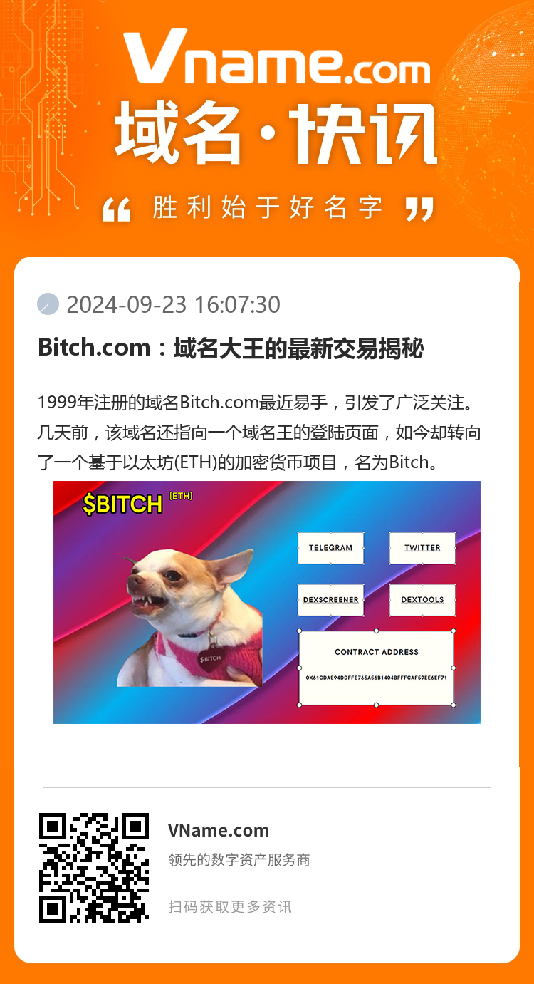 Bitch.com：域名大王的最新交易揭秘