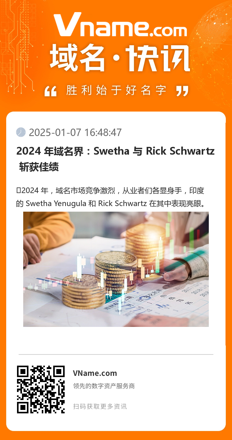 2024 年域名界：Swetha 与 Rick Schwartz 斩获佳绩